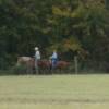 Riders Returning