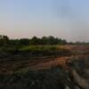 Land Preparation