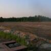 Arena Phase I