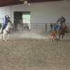 Team Roping
