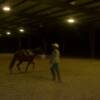 Lunging