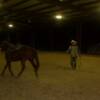 Lunging