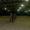 Saddling Correctly